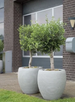 Ø.41 eller Ø.57cm vandtæt sandgrå eller sort krukke med riller