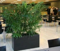 Aflange plantekummer lave / Sort + Grå - Udendørs