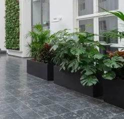 Aflange plantekummer lave / Sort + Grå - Udendørs