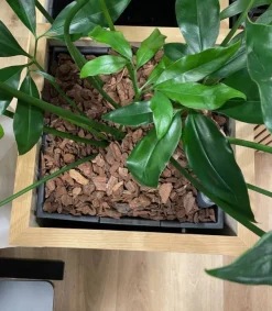 Akustik Krukker med hjul - Indendørs plantekrukker med akustikpaneler - 3 modeller