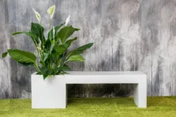 Bænk i hvid glasfiber med plantekumme - L.150x45x45cm