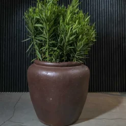 Cavallo black clay vaser i ironstone - 3 størrelser