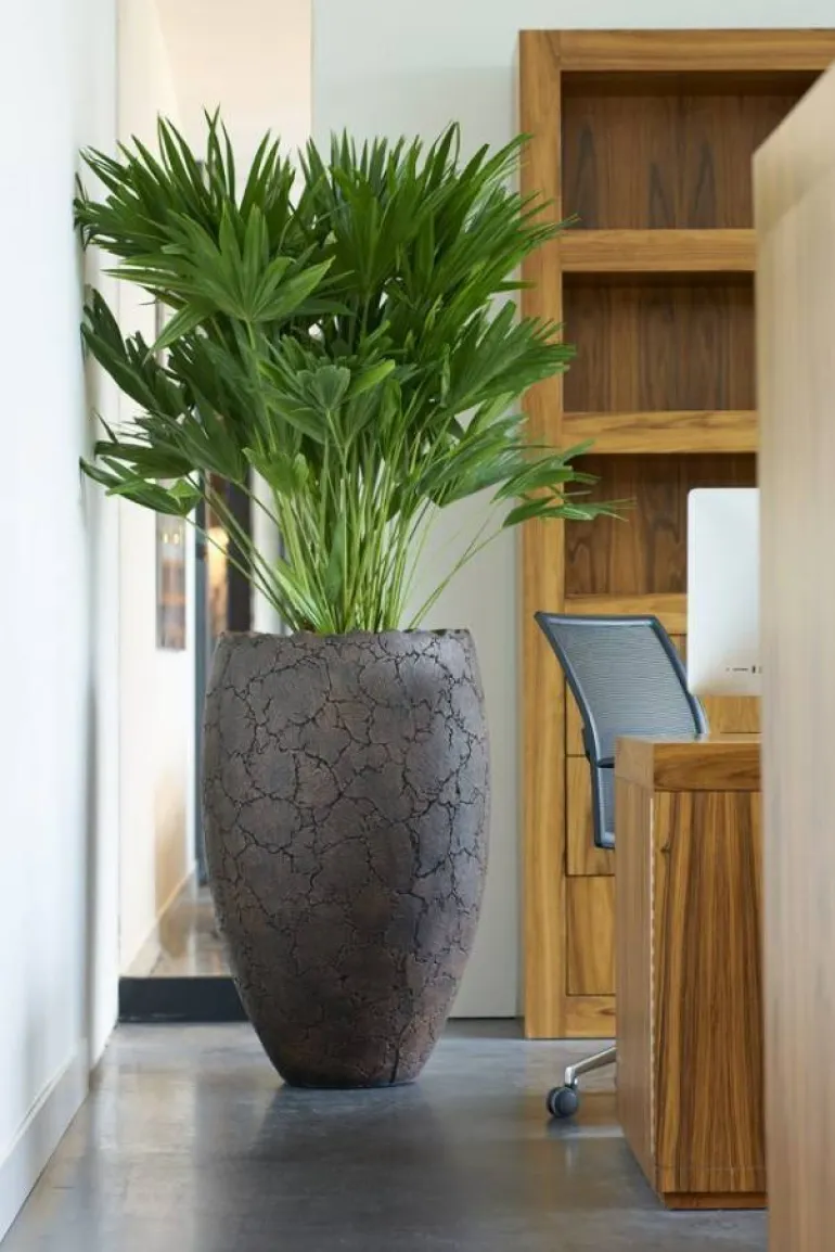 100cm Stonecast vase / krukke - exclusive indoor