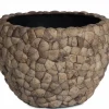 Ø.80cm stor indendørs krukke med Coconut skaller