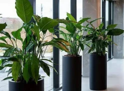 Cylinder krukke / sort eller grå glasfiber - 60cm eller 80cm