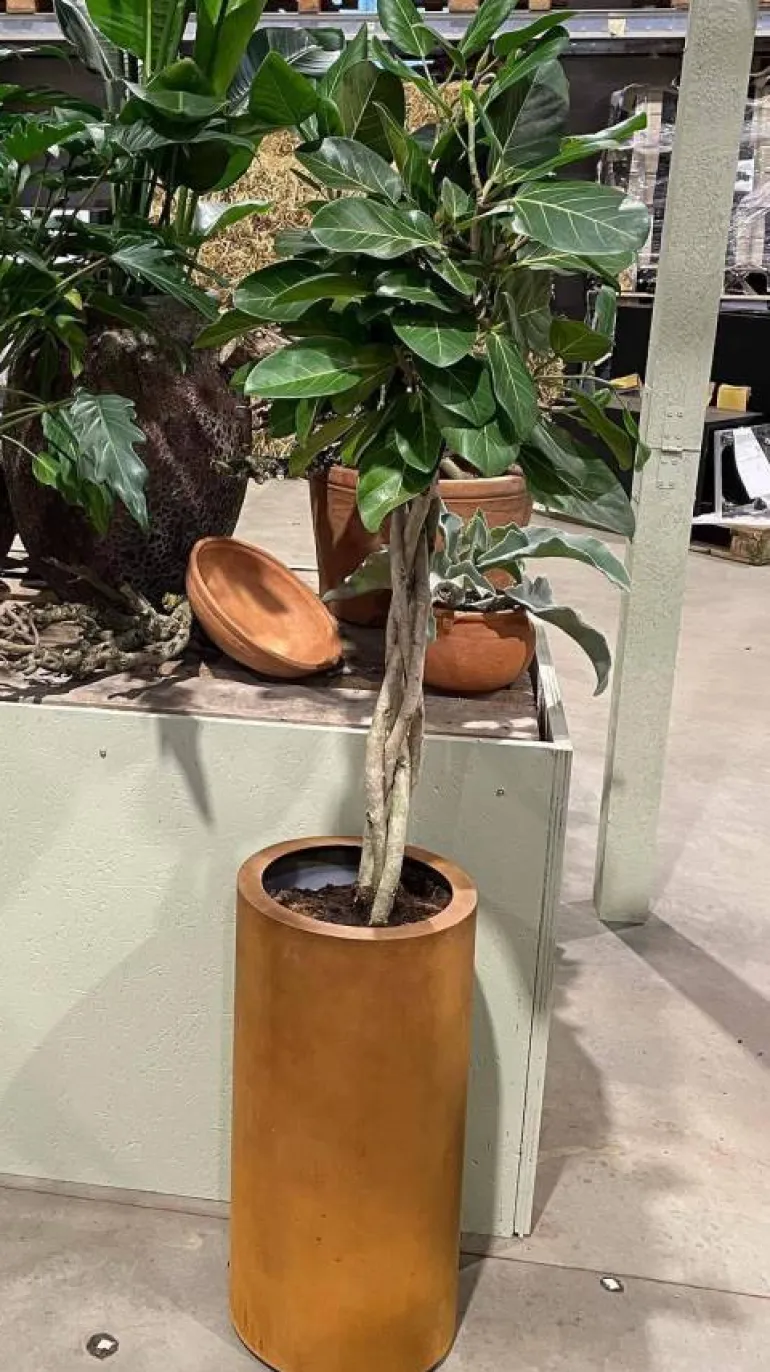 Høj cylinder krukke i corten stål rust - H.60cm + H.80cm