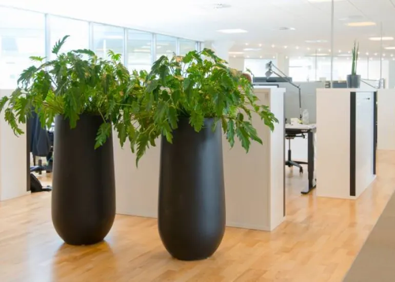 Høj sort krukke i glasfiber - 70cm + 100cm