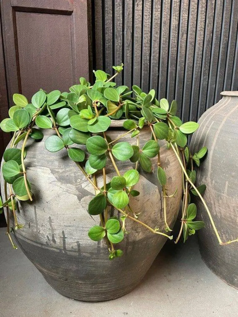 Håndlavet Vintage krukke i keramik - H.43xØ.47cm