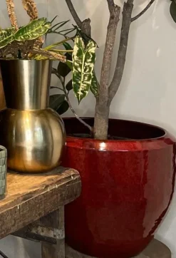 Indendørs Oxblood ceramic krukke Ø.42 + Ø.51cm helglaseret