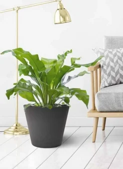 Konisk rund Krukke / Plantepotte i recycle gummi