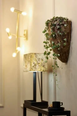 Krukke / Plantepotte til væg med Cemani Teak - 2 størrelser