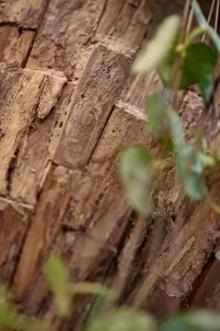 Krukke / Plantepotte til væg med Cemani Teak - 2 størrelser