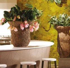 Krukker / Vaser med mango træ - 4 størrelser