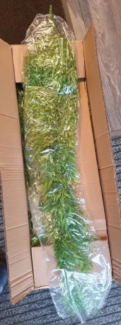 Kunstig Mini Hænge Bambus med små blade og stick 120cm