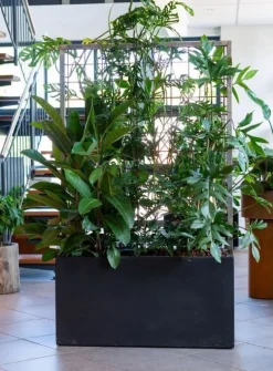 Lave aflange indendørs / udendørs plantekummer - sort eller sand - VANDTÆTTE