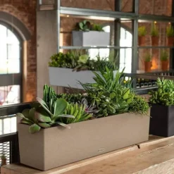 Lechuza blomsterkasse / altankasse Stone / selvvanding - 4 farver