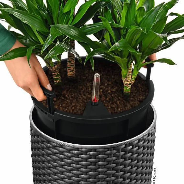 Lechuza Cilindro Cottage / Polyrattan - Selvvanding - 6 farver - 56cm