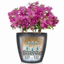 Lechuza Classico COLOR - Selvvanding - Ø.43 - M/U Hjul