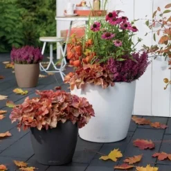 Lechuza Classico COLOR - Selvvanding - Ø.43 - M/U Hjul