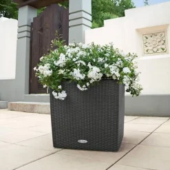 Lechuza Cube Cottage / Polyrattan - grafit-antrazit-sand-lysegrå - 40x40cm+50x50cm