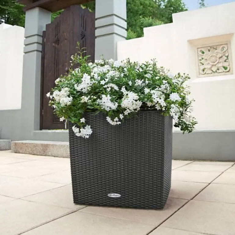 Lechuza Cube Cottage / Polyrattan - grafit-antrazit-sand-lysegrå - 40x40cm+50x50cm
