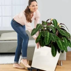 Lechuza Cube Premium med selvvanding - 30cm + 40cm + 50cm - 6 farver - M/U Hjul