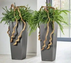 Lechuza Cubico Alto Premium - 105cm - 6 farver