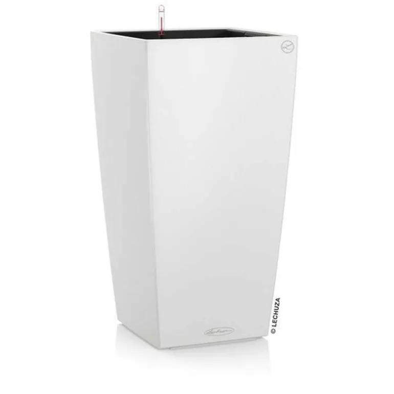 Lechuza Cubico COLOR / Selvvanding - 4 farver