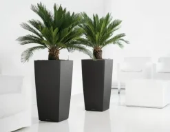 Lechuza Cubico Premium / Selvvanding - 6 farver