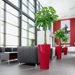 Lechuza Delta krukker med selvvanding / Trekantede