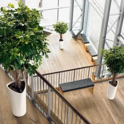 Lechuza Delta krukker med selvvanding / Trekantede