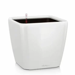 Lechuza Quadro krukker m/u hjul - Ø.35 + Ø.43 + Ø.50 - 6 farver - M/U Hjul