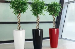 Lechuza Rondo premium krukke H.56 + H.75 - 5 farver / Selvvanding