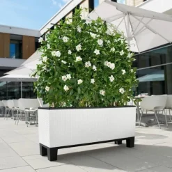 Lechuza Trio Cottage Plantekumme / sort-hvid-antrazit-mokka-sand-grå / 6 farver