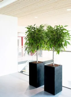 Mat krukke i sort eller grå fiberstone glasfiber - H.60cm + H.80cm + H.100cm