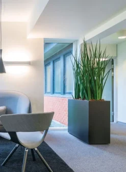 Matsort eller mathvid plantekumme / rumdeler med planteindsats og hjul - 4 størrelser