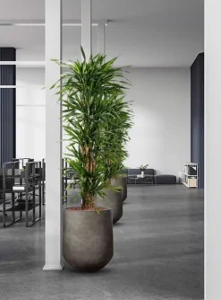 Nordic Style Krukke i Fiberbeton - H.40 + H.50cm + H.68cm