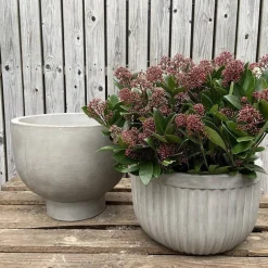 Petros Cup Krukke i Fiberbeton - Ø.42cm