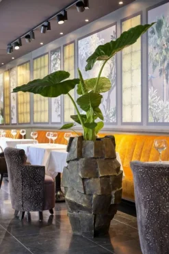 ROCA - Krukker med cubes i antik guld - H.90xØ.50