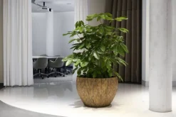 Rund krukke / plantepotter i Cemani træ - Ø.55cm