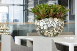 Rund krukke med rustfri stålkant og black lip shell - Ø.50cm