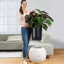 Rund Plantekrukke med indsats og selvvanding - Ø.50cm / Hvid - Sand - Slate