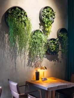 Rund vægampel / vægkrukke til planter og blomster - 3 størrelser - Sort + Hvid