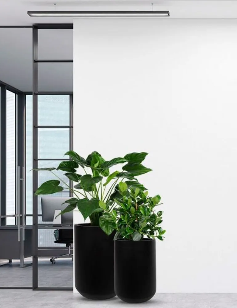 Sort, Hvid eller Grå krukke i mat fiberstone - H.53cm + H.65cm