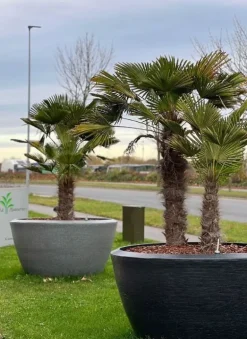 Sort konisk krukke granite black rib - Livstidsgaranti - Op til Ø.156cm