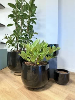 Sorte udendørs glaserede frostsikre krukker - Ø.48 / Ø.62