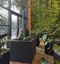 Stor indendørs firkantet krukke / plantekumme med hjul - op til 140x140cm