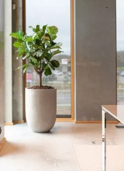 Stor indendørs rund krukke i fiberbeton - H.74 + H.90 - Cementlook - Topkvalitet