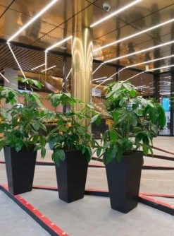 Stor konisk krukke i genanvendt gummi - H.51 + H.71 + H.90cm