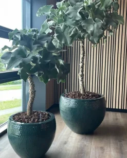 Stor krukke i hammered metal - Ocean Green - 3 størrelser